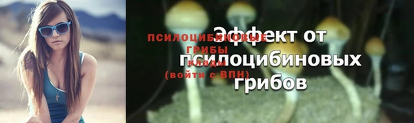 ГАЛЛЮЦИНОГЕННЫЕ ГРИБЫ Алзамай